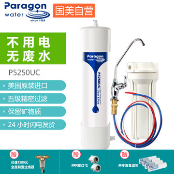 百诺肯(Paragon) P5250UC厨房净水器 家用自来水除菌除氯 直饮矿物质 大流量净水机
