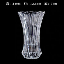 花瓶-透明6(透明 1)
