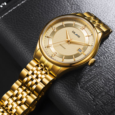 帝浪(DILANG)男士手表进口自动机械机芯钢带皮带经典时尚绅士腕表K9(钢色)