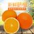 【高山脐橙】现摘现发橙子脐橙新鲜水果批发5斤(脐橙-5斤 脐橙-5斤)