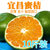 刘陶鲜果 宜昌青皮蜜桔柑橘 10斤（48-55个）第2张高清大图