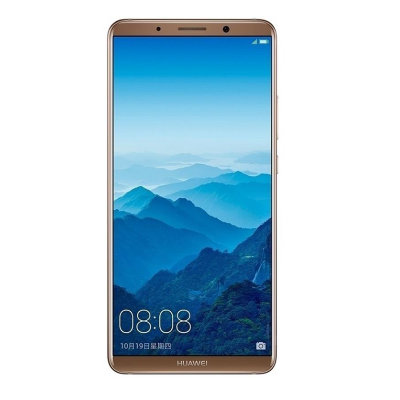 Huawei/华为 Mate 10 Pro  全网通4G 6+64G/6+128G 八核 6英寸 双卡 智能手机(摩卡金 官方标配)
