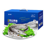 星龙港舟山带鱼礼盒5kg（19-21条 ）整条装 产地直供 国产海鲜水产 深海无添加 肉质更鲜美