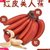 福建漳州特产红皮香蕉5斤应季当季新鲜水果现摘红色美人芭蕉(红皮香蕉5斤)