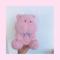 ENMA STUDIO可爱网红兔子毛绒玩具小熊公仔儿童女生日情人节礼物(包子脸小猪 坐高约23cm)