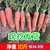 胡萝卜10斤新鲜蔬菜水果脆甜红心萝卜5斤徐州产地直销包邮食用3斤(5kg)第2张高清大图