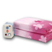 环鼎智能水暖电热毯双人无极调温 调温 水暖毯床垫 单人电褥子 舒适水褥子(01单人布0.8*1.6m)