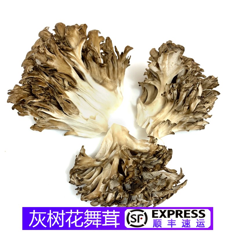 顺丰新鲜舞茸新鲜菌灰树花130g盒