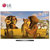 LG彩电 OLED65B6P-C 65英寸 OLED HDR哈曼卡顿音响 不闪式3D 4K高清液晶电视