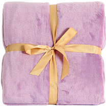 嘉博（JIABO） 加厚保暖菠萝格网眼居家素色毛毯贝贝绒四季盖毯(浅紫)
