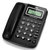 TCL HCD868(131)TSD 免电池可挂墙电话机 办公家用座机固定电话(黑色（双接口）)
