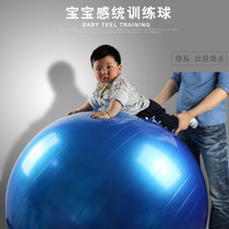宝宝感统训练大龙球球加大100cm防爆加厚健身球环保 儿童球健身球瑜伽球 蓝色按摩面jmq-232