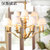 汉斯威诺美式乡村铁艺创意吊灯欧式田园复古现代客厅餐厅卧室灯具HS707004(3头吊灯带罩(不带光源))