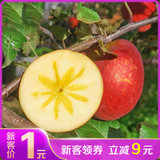 鲜果突击队云南昭通丑苹果糖心苹果3/5/9斤装(新鲜水果 3斤装)