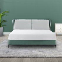 灵感空间 科技布+静音垫现代简约风格布软床(单床 床：2240*2070*1140mm)