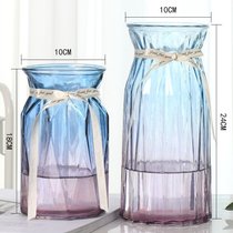创意花瓶玻璃透明水养客厅摆件鲜花插花瓶北欧简约富贵竹干花花瓶(24CM浪漫+18钻石2件套【蓝紫】中 默认版本)