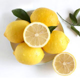 果耶 四川安岳黄柠檬 8-12粒 1kg