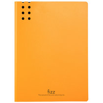 飞兹(fizz) FZ002385-DC A4（背宽20mm） 单强力文件夹 (计价单位：个) 橙