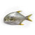 WECOOK 冰鲜 海南深冻金鲳鱼 450-500g/条 袋装 海鲜水产(金鲳鱼*1条)