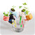 A906创意迷你吸水渴渴西里盆栽家居桌面绿植摆件盆景lq0530(猫咪+野草莓)