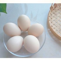 17岁的甜湖南溆浦农村土鸡蛋散养白壳鸡蛋30枚装 营养丰富