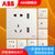 ABB开关插座面板轩致白色二三极五孔AF205插座面板套餐合集(五孔（带USB充电）)