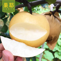 山东莱西 丰水梨4.8斤 精品（单果350g-550g）梨子 新鲜水果