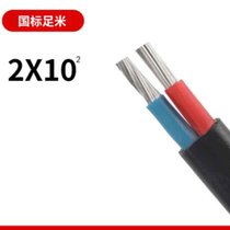率龙电线电缆SL18国标电缆电线YJV2*10（单位：米）(默认)