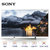 索尼（SONY）KD-49X9000E 49英寸4K HDR 精锐光控Pro 智能液晶电视（银色）