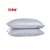 简约枕套绸缎仿真丝纯色床上用品枕头套(ZT01-150)