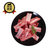 湘村黑猪 猪肋排段 400g/袋 供港猪肉 孕妇儿童放心吃 GAP认证 黑猪肉 排骨