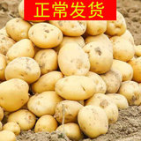 【顺丰包邮】新鲜蔬菜马铃薯农家黄皮黄心小土豆净重4.5斤(自定义)