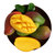 广西青皮芒果玉芒果 2.5kg果重约250g-350g新鲜水果