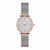 阿玛尼手表 简约时尚米兰编织钢带 石英表AR1956 玫瑰金女表(橙色)