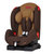 荷兰mamabebe 儿童安全座椅婴儿汽车用安全座椅9月-6岁车载 暴风COCO系列(褐色 coco带isofix接口)