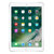 Apple iPad 平板电脑 9.7英寸（行货保证 售后无忧）(银色 wifi版)