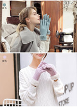 CaldiceKris （中国CK）女士加绒麂皮绒保暖户外手套CK-G362B(紫色 均码)