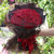 【鲜花猫】玫瑰花花束礼盒礼品鲜花520情人节和母亲节礼物(33朵红玫女神表白款 鲜花礼盒)