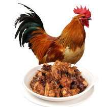 农家自养土鸡大公鸡新鲜鸡肉深度净膛老公鸡笨鸡溜达鸡(大公鸡4.7斤（5斤 -0.3斤））)