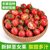 【3斤装】山东圣女果新鲜水果净重2.7-3斤小番茄(自定义 2斤装)