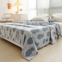 丹杰 珊瑚绒毯子床上用毛毯春秋法兰绒法莱绒床单沙发午睡毯铺床宿舍单人盖毯(菠萝蓝)