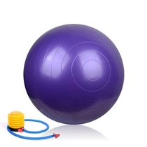 夏拓瑜伽球 65cm瑜珈球 健身美体球 加厚防爆(深紫色)