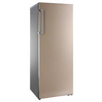 容声(Ronshen) BD-170KE  170立升 立式 冰柜 时尚外观 金色