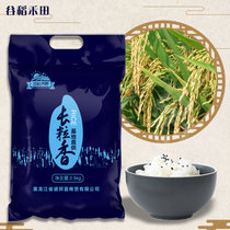 2020年新米上市 谷稻禾田长粒香米  正宗东北大米2.5KG 包邮