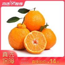 四川丑橘不知火丑柑丑八怪新鲜水果2/5/10斤(5斤中果)