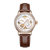 柏伦斯（BLUNSI）手表进口全自动机械四叶草系列女士镂空防水腕表9012LXR-A01(棕色 皮带)