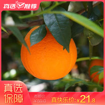 【顺丰】重庆奉节脐橙5水果橙子新鲜9斤孕妇当季现摘甜橙包邮(标准果 70mm-75mm 5斤)