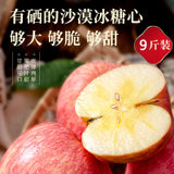 宁夏冰糖心富硒红富士苹果新鲜苹果水果脆苹果水果丑10斤糖心苹果(75mm（含）-80mm(不含) 9斤)