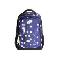 迪士尼（Disney）DNC1108186 15.6英寸双肩休闲电脑包（紫色）
