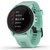 佳明铁三智能表forerunner745 薄荷绿（含RDP传感器） 血氧监测 运动表 音乐跑步表 双支付手表
